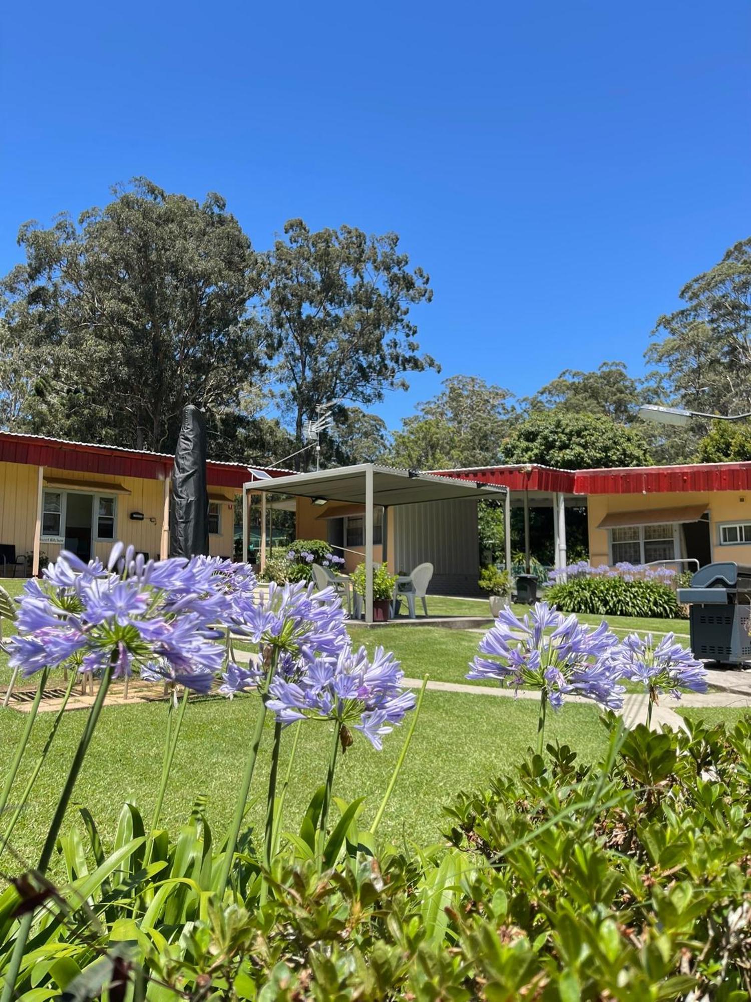 Major Innes Motel Port Macquarie Extérieur photo