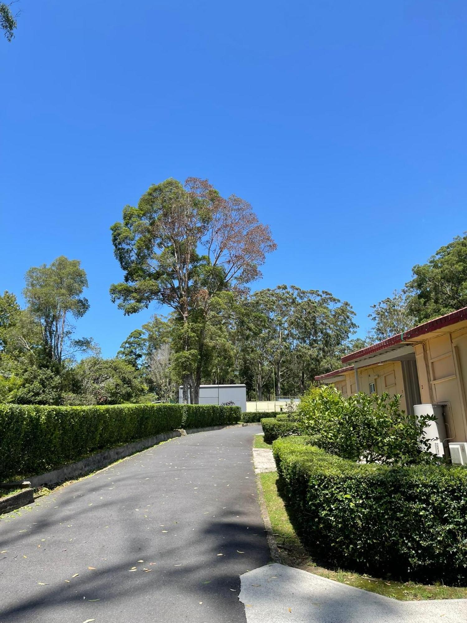 Major Innes Motel Port Macquarie Extérieur photo