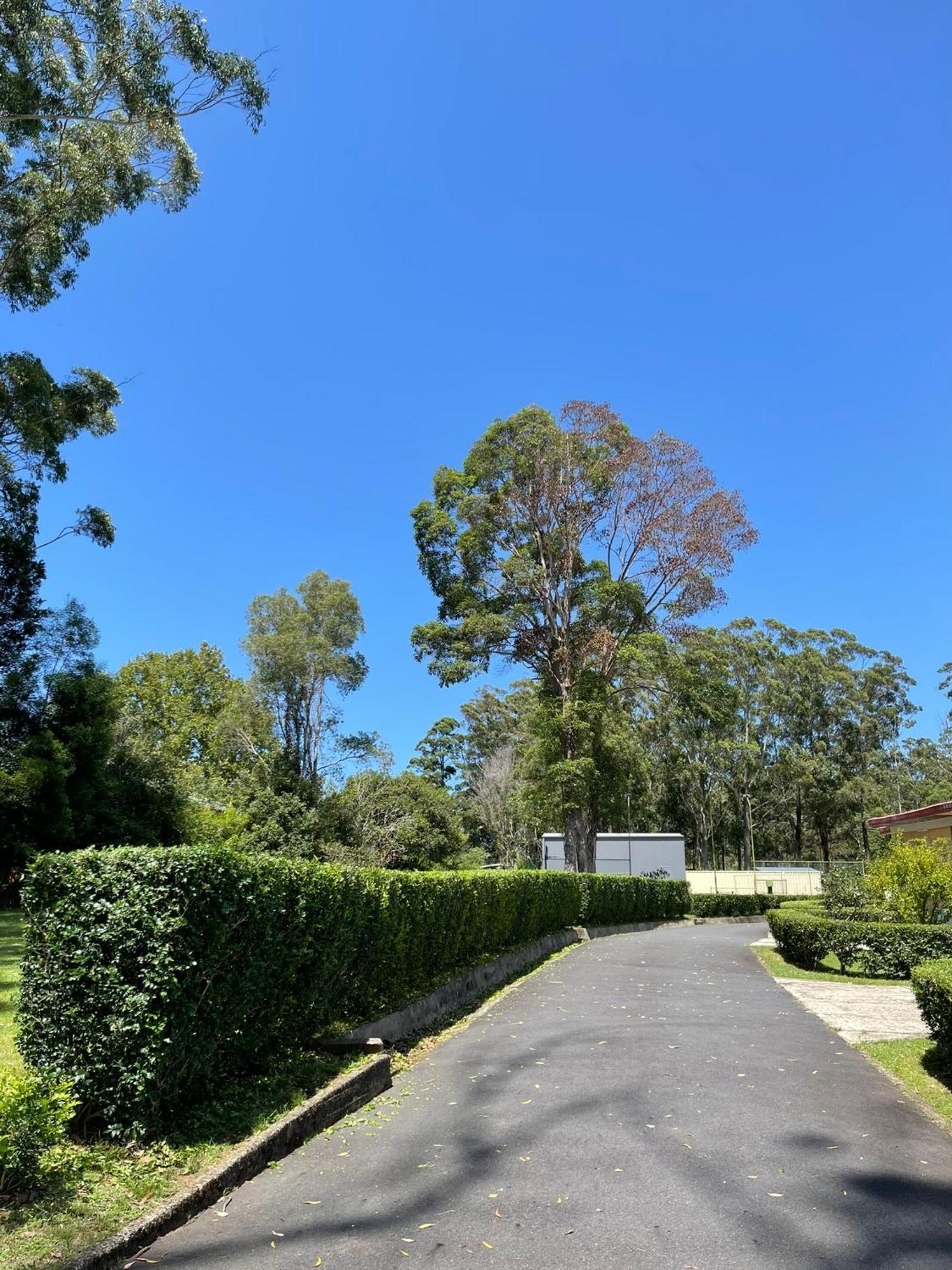 Major Innes Motel Port Macquarie Extérieur photo