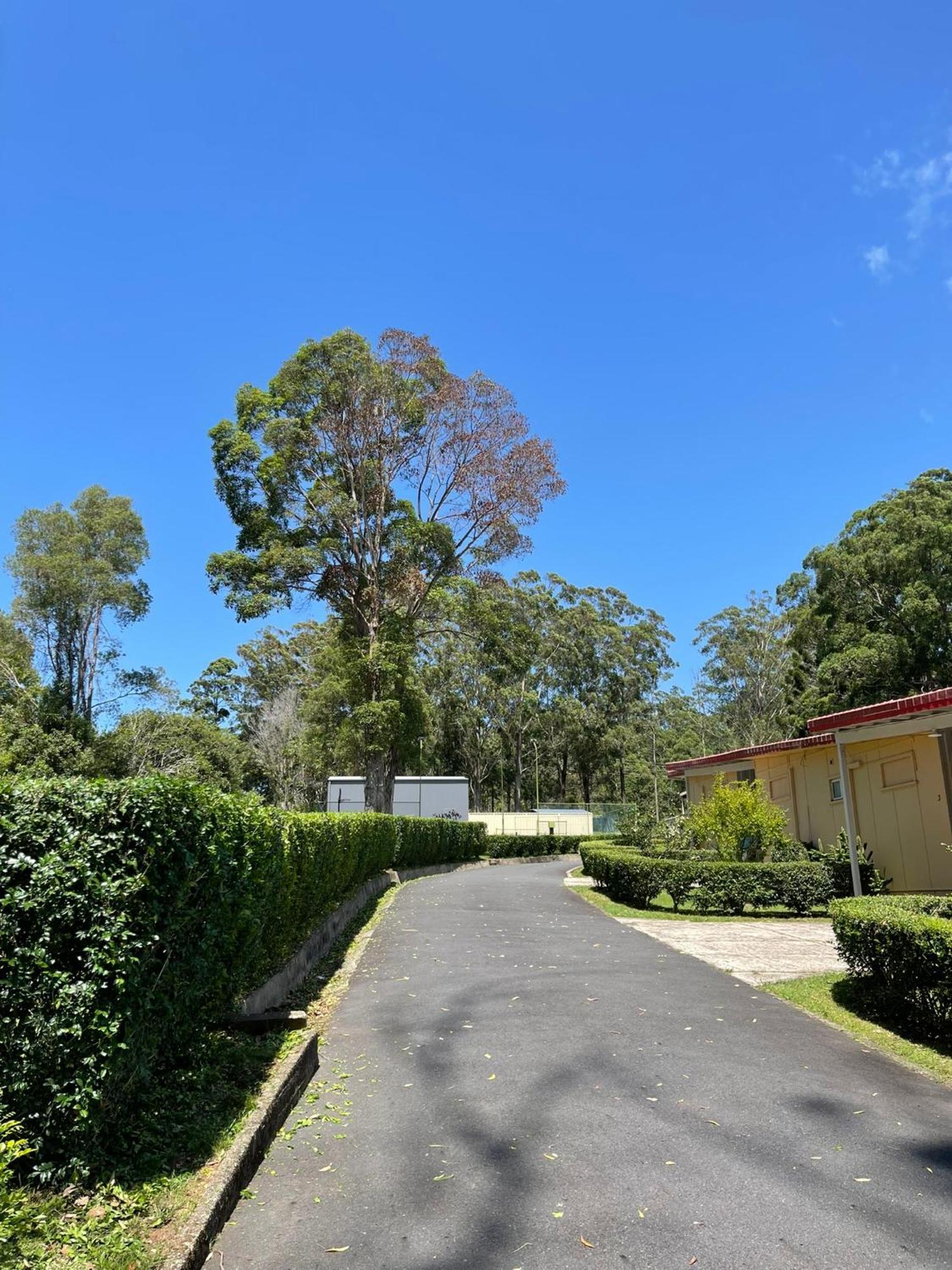 Major Innes Motel Port Macquarie Extérieur photo