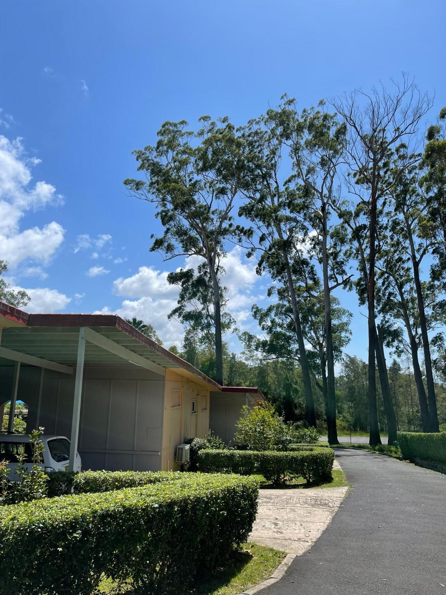 Major Innes Motel Port Macquarie Extérieur photo